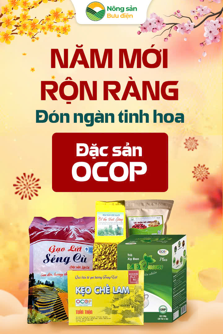 Dịch vụ thanh toán